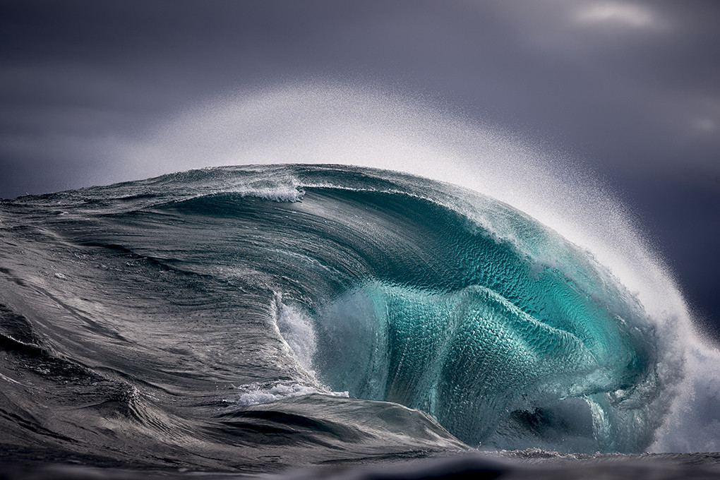 Ray Collins Photography