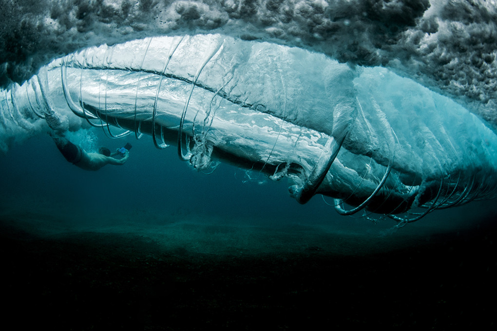 Ray Collins Photography