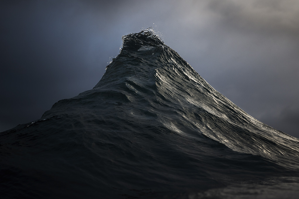 Ray Collins Photography